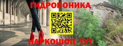 2c-b Пугачёв