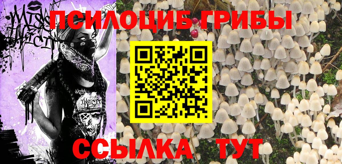где купить наркоту  Вход с VPN  Соликамск  Псилоцибиновые грибы мухоморы 